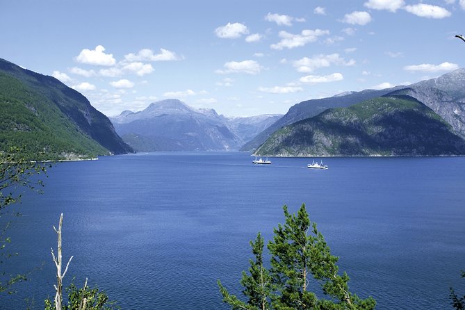Bergen: Private Full-Day Roundtrip to Hardangerfjord with cruise - Øvre Eidfjord and the Hardangervidda Nature Centre
