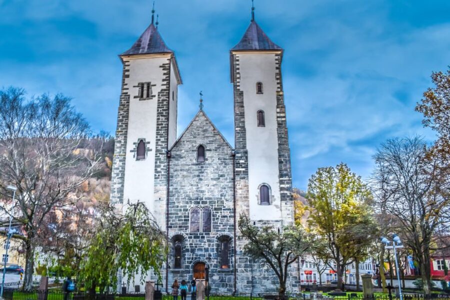 Bergen: Private Guided City Sightseeing Tour - Practical costs and planning advice