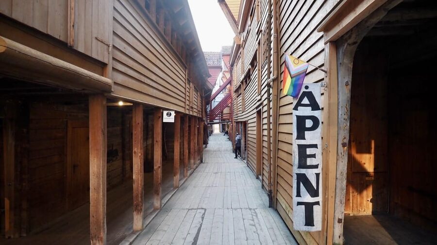 Bergen: Private tour in your own language - Who will get the most from this walk
