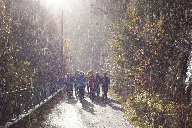 Bergen Private Walking Tour with a Local - Nordnes, quiet streets, and daily life