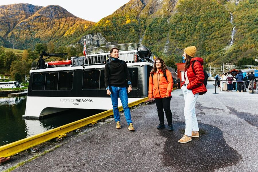 Bergen: Self-Guided Round-Trip Full-Day Excursion - Myrdal back to Bergen