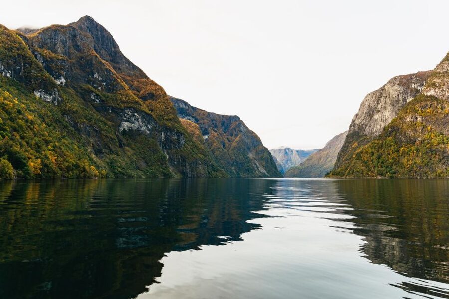 Bergen: Self-Guided Round-Trip Full-Day Excursion - Who should book this day?