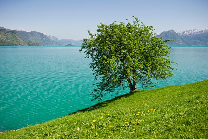 Bergen: Self-Guided Roundtrip (Sognefjord Cruise 5h & Flamsbana) - The fjord cruise and the question of seating