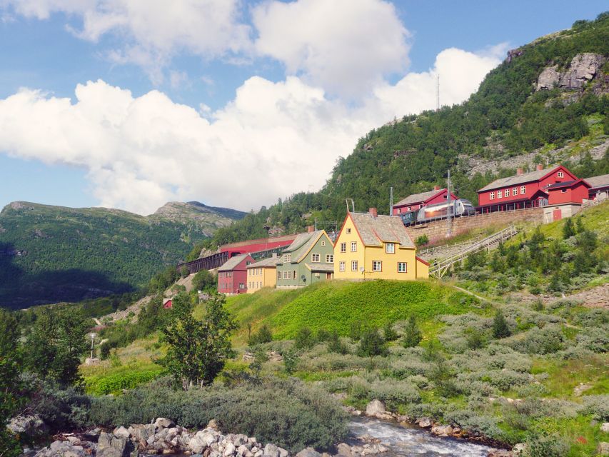 Bergen: Self-Guided Trip to Oslo with Sognefjord cruise (5h) - The fjord cruise and what to eat onboard