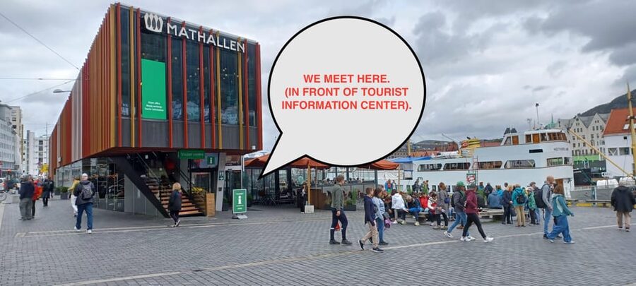 Bergen: Sightseeing Walking Tour with Ferry Ride - The ferry: Bergen from the water