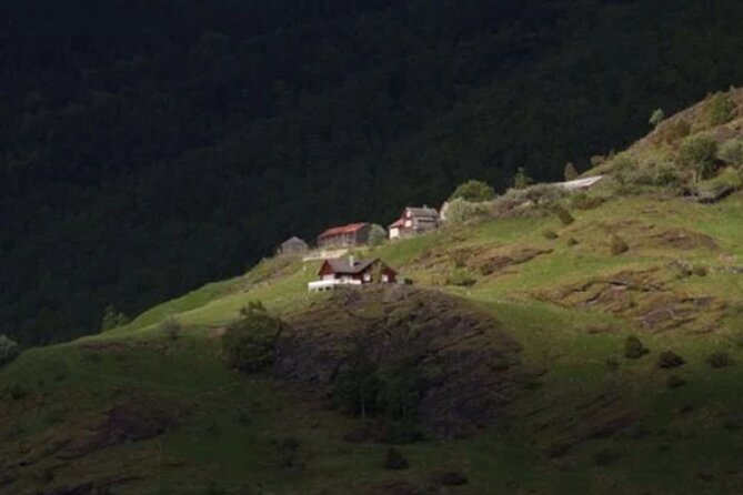Bergen to Flam "The King of Fjords" One-Way or Round-Trip Cruise Ticket - Eleven village stops make this a working ferry