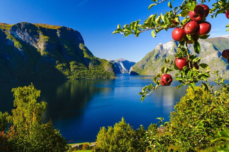 Bergen: Viking Village, Nærøyfjord Cruise & Flåm Railway - Key points at a glance