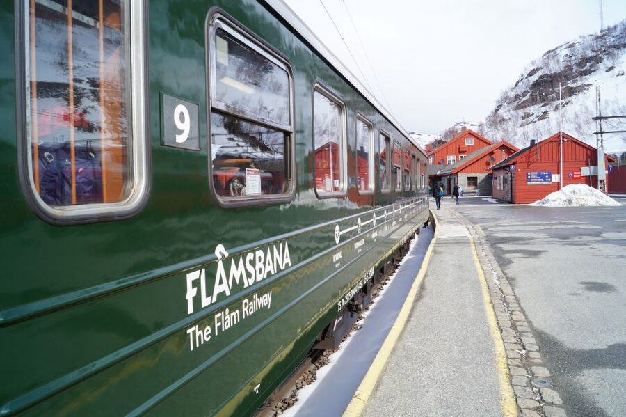 Bergen: Viking Village, Nærøyfjord Cruise & Flåm Railway - Why this day trip works so well