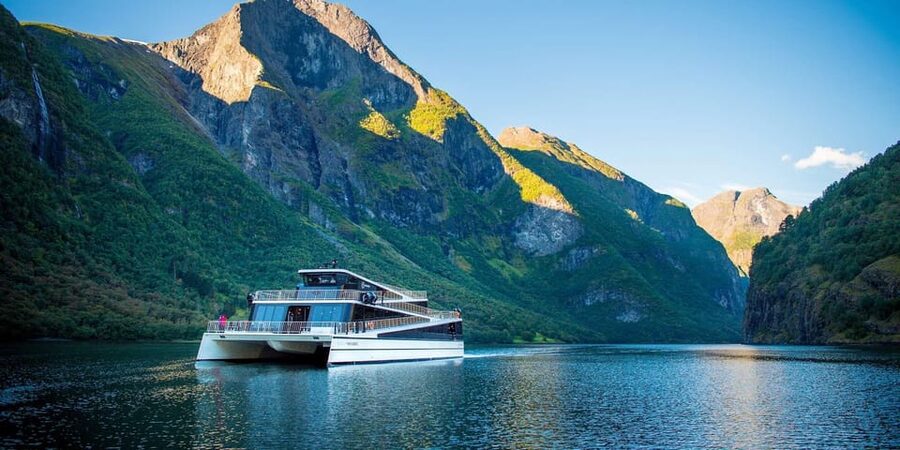 Bergen: Viking Village, Nærøyfjorden Cruise and Flåm Railway - Guides make the road section more than a transfer