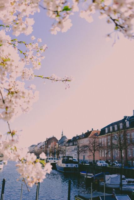 Best of Copenhagen Biking Tour-3 Hours, Small Group max 10 - Amalienborg Palace and the Round Tower