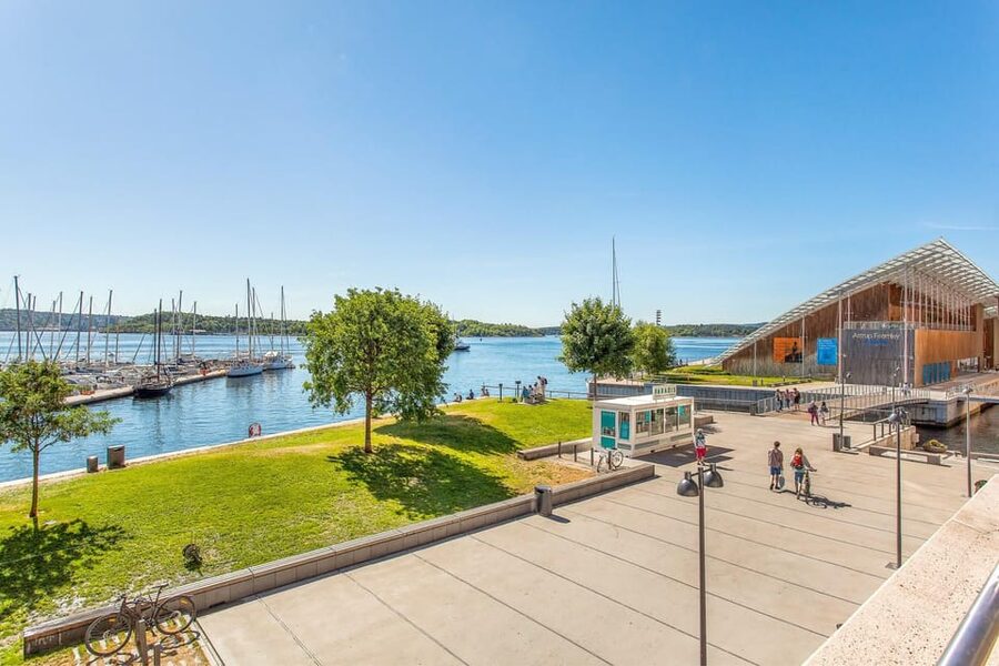 Best of Oslo: Walking Tour with a local guide - Opera House, Bjørvika, and the Oslo Fjord