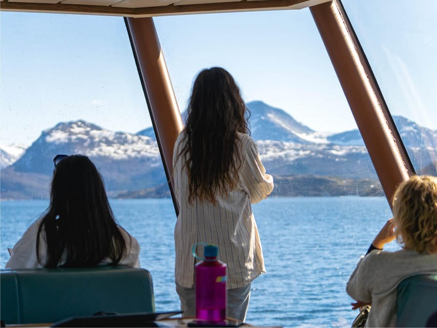 Bodø: Beiar Fjord & Saltstraument Cruise - Is four hours the right length?