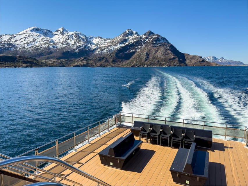 Bodø: Beiar Fjord & Saltstraument Cruise - The $103 price and what you receive