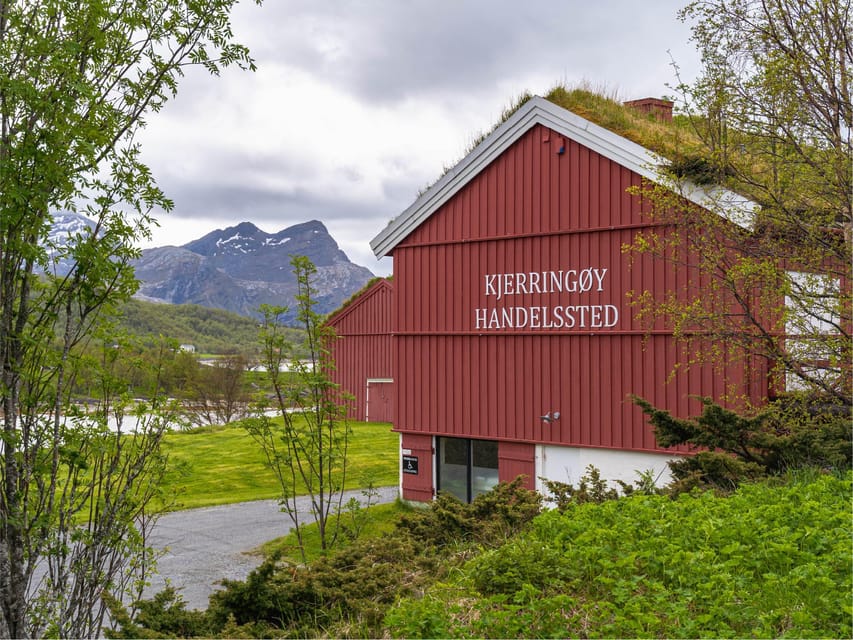 Bodø: Kjerringøy & Silent Coastal Cruise - Key points to know before booking