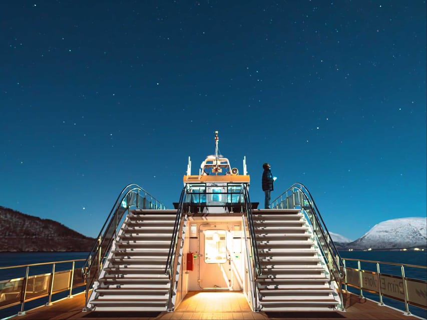 Bodø: Northern Lights Cruise - Warm drinks, café time, and practical comfort