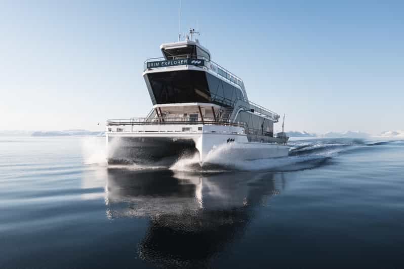 Bodø: Northern Lights Cruise - My booking verdict