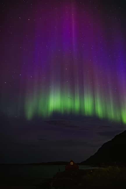 Bodø: Northern Lights safari - Why this Bodø aurora trip works