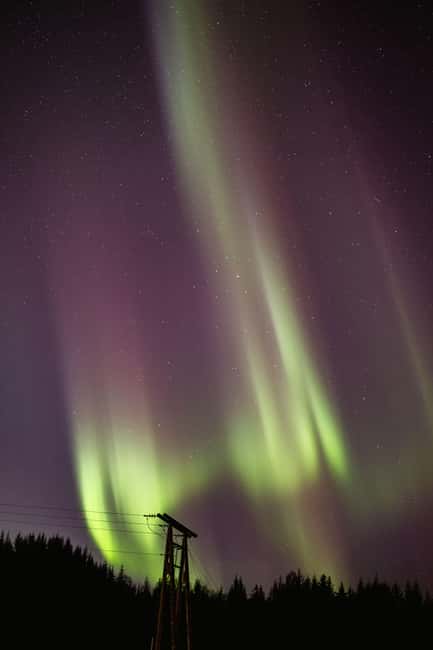 Bodø: Northern Lights safari - A guide who adjusts the plan