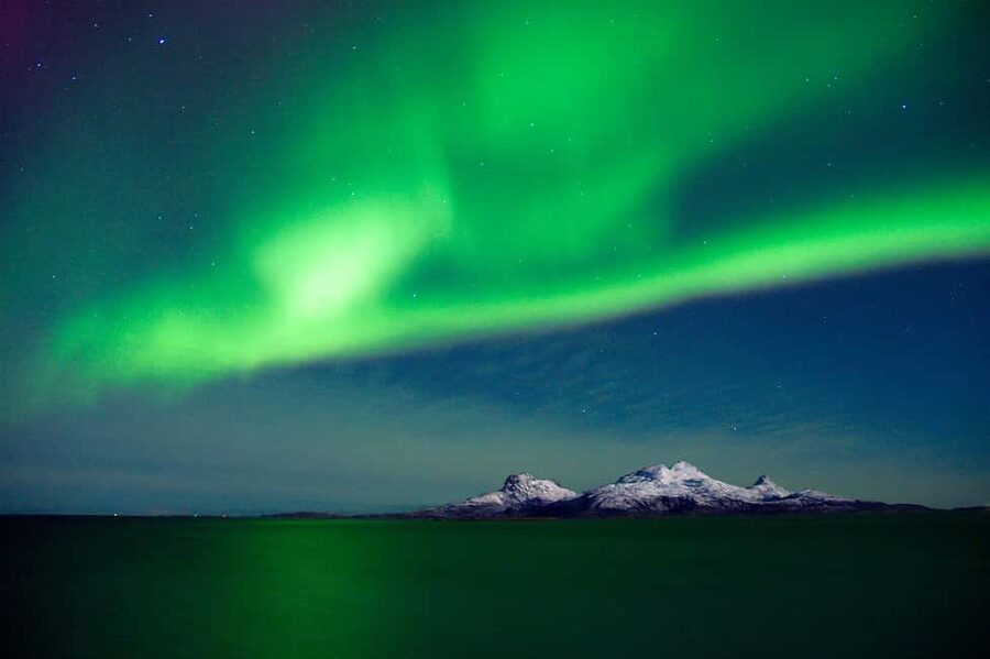 Bodø: Northern Lights safari - Booking details that matter