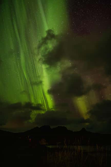 Bodø: Northern Lights safari - From the Radisson Blu Hotel into the dark