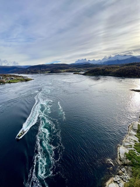 Bodø: Saltstraumen RIB Safari - Starting at the Hurtigruten quay in Bodø