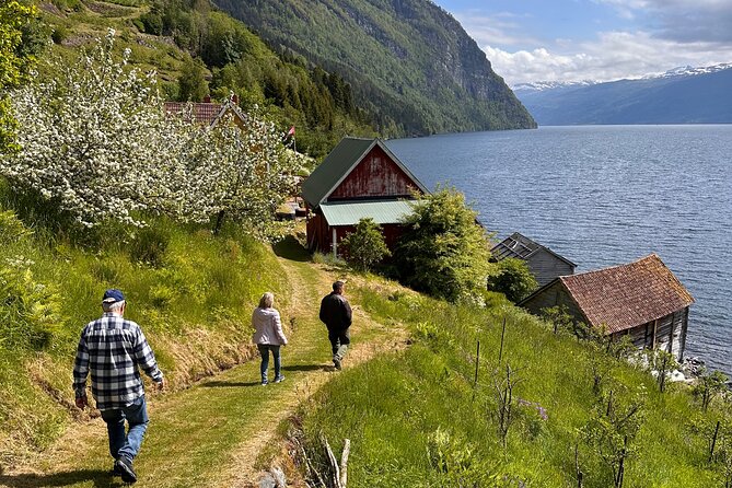 Briksdal Glacier and Loen Skylift day Excursion - Who Should Book This Day?