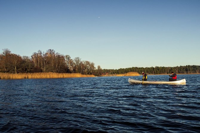 Canoe adventure in Stockholm Archipelago - Wildlife watching without unrealistic promises