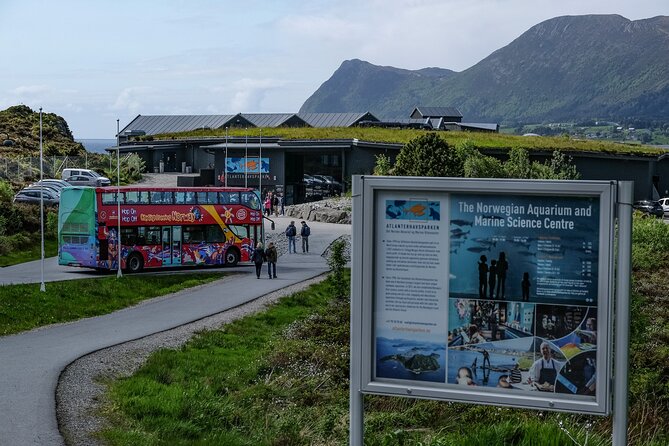 City Sightseeing Alesund Hop-On Hop-Off Bus Tour - Is $12 good value in Alesund?