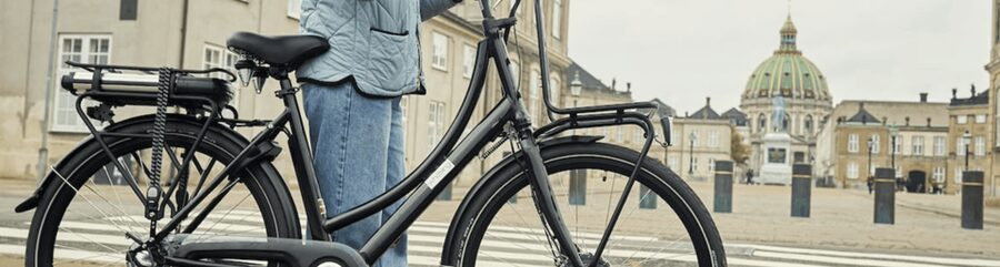 Copenhagen: 3 Hour Extended Grand E-Bike Guided Tour - Harbor architecture from the Opera House to Urban Rigger