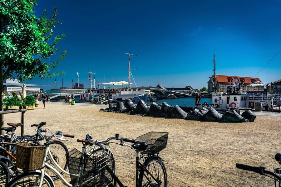 Copenhagen: 3-hour Private Guided Bike Tour - Little Mermaid and Amalienborg Palace