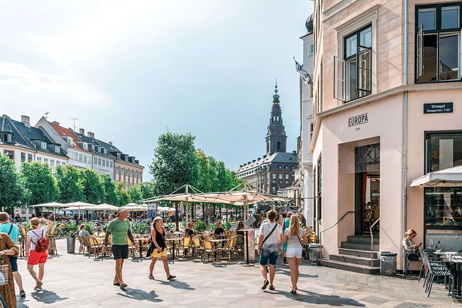 Copenhagen & Christiansborg Palace Private Walking Tour - Walking conditions, timing, and practical choices