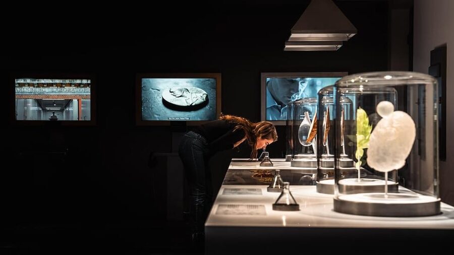 Copenhagen: Home of Carlsberg Experience Entry Ticket - Seeing the 22,000-bottle collection