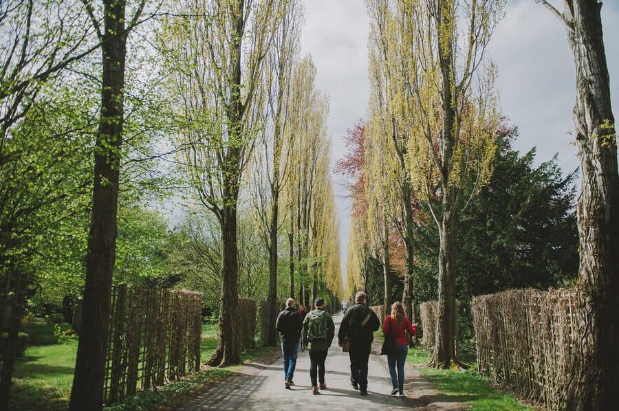 Copenhagen: Modern City Food Tour - Walking, weather, and the small details