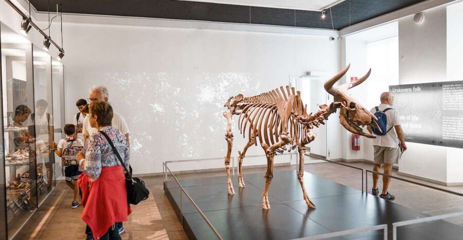 Copenhagen: National Museum of Denmark Entry Ticket - What your $21 ticket gets you