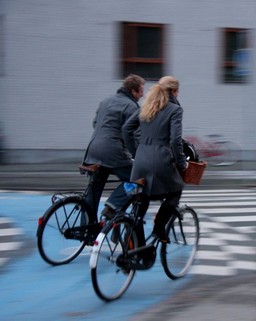 Copenhagen Private 3h biking tour - What the private group format really offers