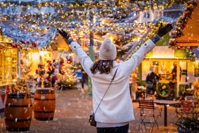Copenhagen Private Christmas Walking Tour with Gløgg - Stork Fountain and the taste of Danish Christmas