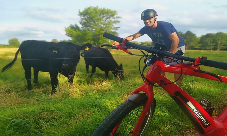 Copenhagen: Private Forgotten Giants E-Bike Treasure Hunt - The 80-minute ride through Høje-Taastrup