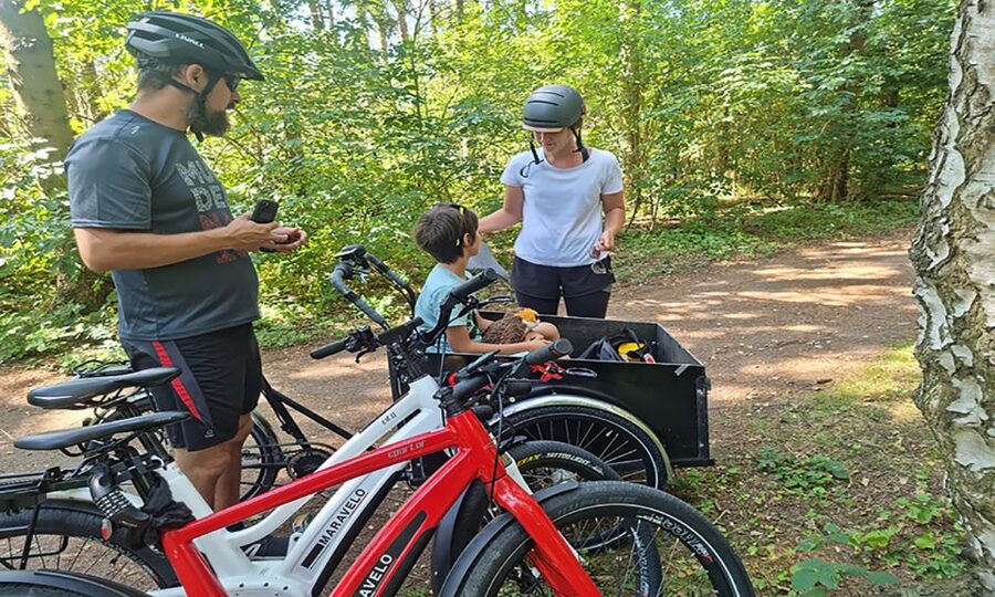 Copenhagen: Private Forgotten Giants E-Bike Treasure Hunt - What the private format is worth
