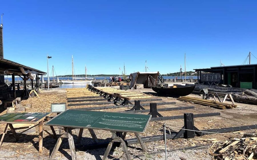 Copenhagen: Roskilde, the Viking City Tour in English - Key points at a glance