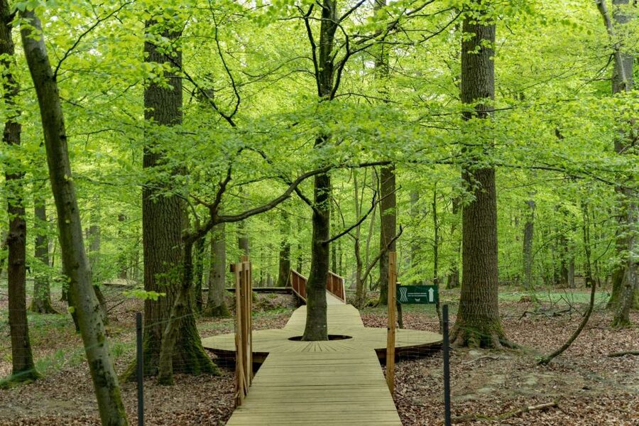 Copenhagen: The Forest Tower & Forgotten Giants Trolls Trip - Timing, transport, and the five-hour schedule