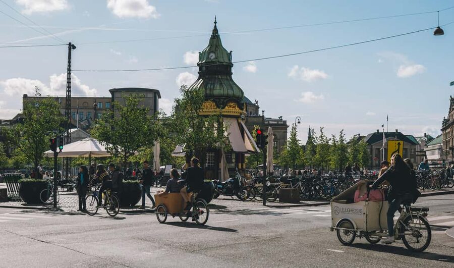 Copenhagen: Tour with Private Guide - The Little Mermaid and the limits of a short walk