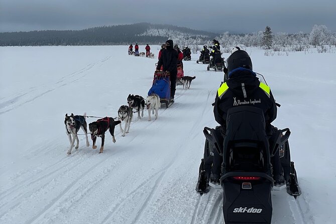 Day tour with snowmobile in Kiruna 10:30 am - A wildlife outing with a real chance of surprise