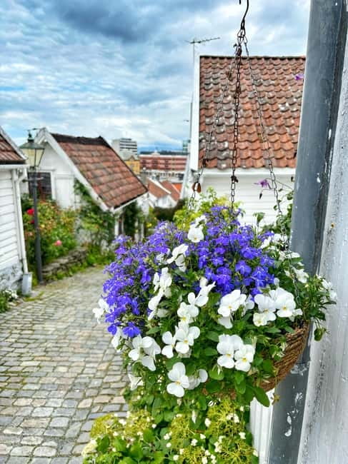 Discover Private+ Stavanger Guided City Tour - Stavanger’s Viking connection