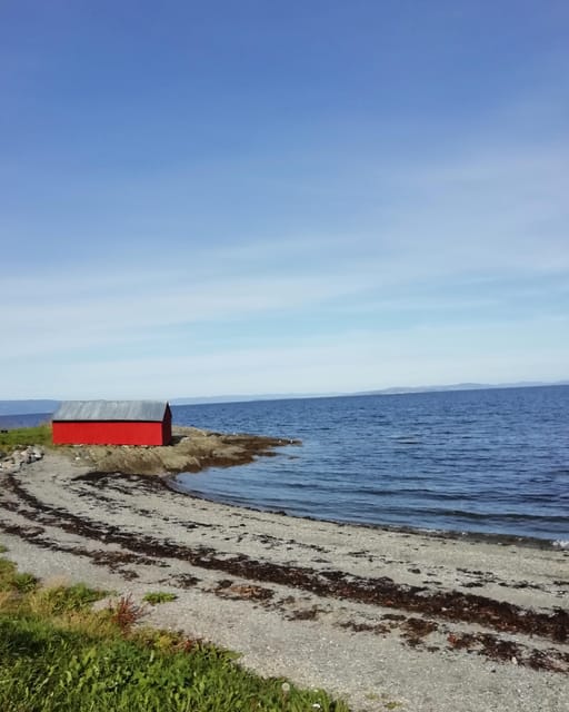 Discovery hike along the Trondheimsfjord - Why the Ladestien is a smart break from Trondheim’s center