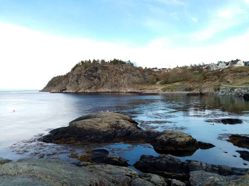 Discovery hike along the Trondheimsfjord - Korsvika and the first fjord views
