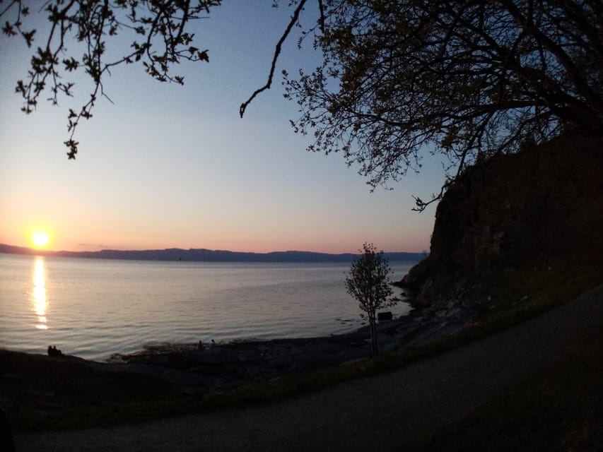 Discovery hike along the Trondheimsfjord - Østmarka German bunker and the weight of wartime history