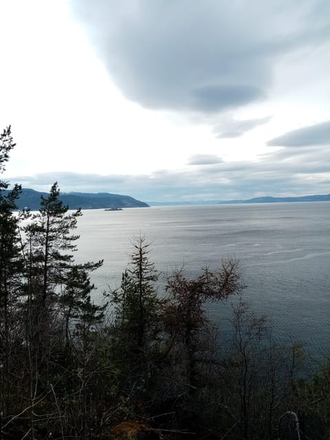 Discovery hike along the Trondheimsfjord - Ladekaia, where the route pauses by the water