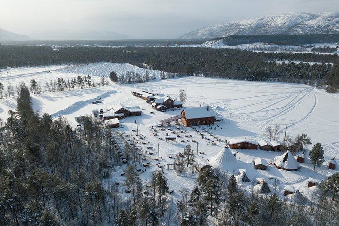 Dog Sled Tour and Husky Cuddles - Why dog sledding in Alta feels different