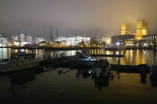 Downtown Oslo: Self-Guided Highlights and History Audio Tour - Karl Johan Avenue, Oslo’s main central street