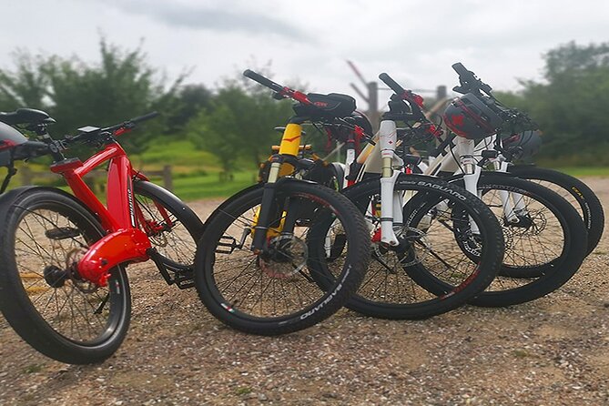 E-biking Northern Forgotten Giants' s Adventure - Teddy Friendly completes the four-sculpture circuit